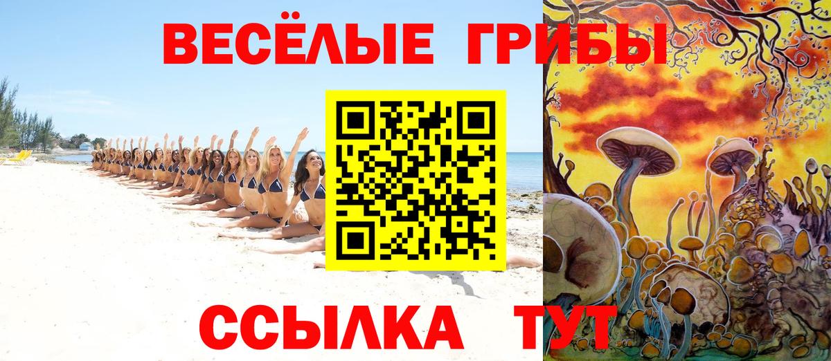 Псилоцибиновые грибы Cubensis  Вход с VPN  Котлас  Псилоцибиновые грибы мухоморы 